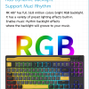 Royal Kludge H87 TKL Special U-Socket/ Knob One-Key Switching / USB HUB / 3 Mode/ RGB hot-swappable