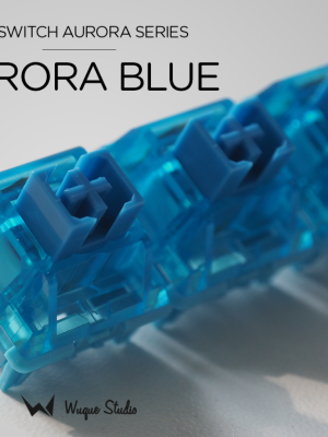 WS Switches Aurora Series x 1 ตัว