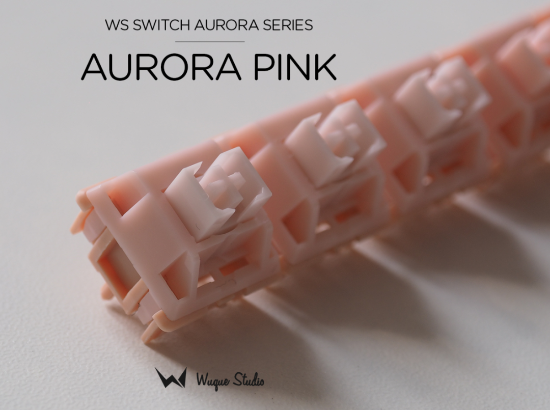 WS Switches Aurora Series x 1 ตัว