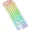 1STPLAYER UNI-Q Pro TKL 87 KEYS White / GATERON SWITCH / RGB / HOT SWAP / WIRED KEYBOARD COMPLETED SET