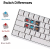 Royal Kludge RK61 RGB Hotswap Arrow คีย์ Bluetooth ไร้สายบลูทูธและมีสาย เปลี่ยนสวิตซ์ได้ เลเซอร์ไทย - English
