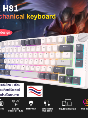 Royal Kludge RK H81 tri-modes 75% Gasket mount RGB backlit gaming mechanical keyboard 81 keys hotswap