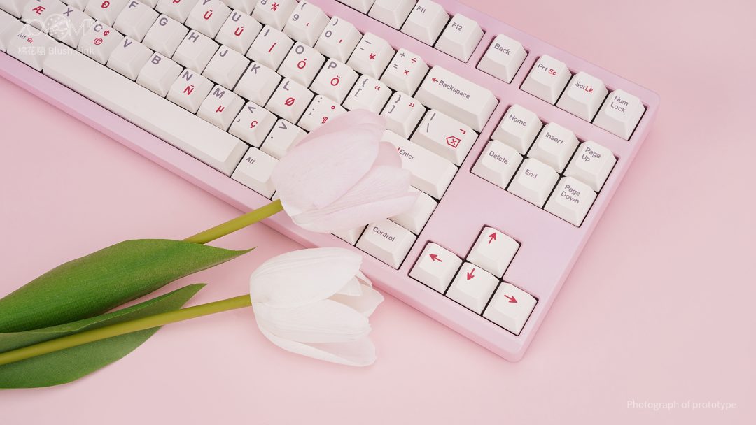 ZOOM TKL ESSENTIAL EDITION-Blush Pink