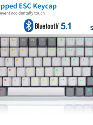 SKYLOONG GK84S LITE GASKET-แมคคานิคอลคีย์บอร์ด ขนาด 75% 84 keys-เลือกได้ไร้สาย 2แบบ DUAL,TRIPPLE Mode