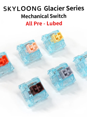 SKYLOONG SWITCH Serie 5pin /Glacier/Glacier Silent/Chocolate มีให้เลือก 1ตัว/35ตัว/70ตัว