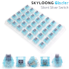 SKYLOONG SWITCH Serie 5pin /Glacier/Glacier Silent/Chocolate มีให้เลือก 1ตัว/35ตัว/70ตัว