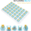 SKYLOONG SWITCH Serie 5pin /Glacier/Glacier Silent/Chocolate มีให้เลือก 1ตัว/35ตัว/70ตัว