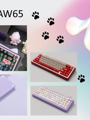 [Groupbuy] Chilkey Paw65 65% gasket completed set keyboard