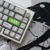 [Group Buy] Zoom65V2 x Yamanote Line Theme Keyboard Kit